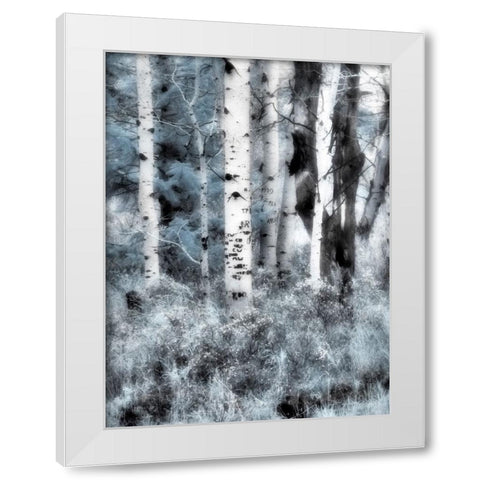 USA-Utah-Aspen Grove in infrared of the Logan Pass area White Modern Wood Framed Art Print by Eggers, Terry