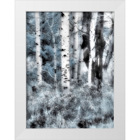 USA-Utah-Aspen Grove in infrared of the Logan Pass area White Modern Wood Framed Art Print by Eggers, Terry