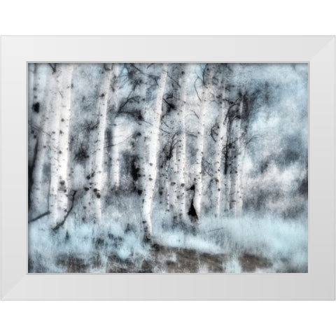 USA-Utah-Aspen Grove in infrared of the Logan Pass area White Modern Wood Framed Art Print by Eggers, Terry