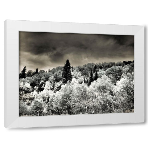 USA-Utah-Aspen Grove in infrared of the Logan Pass area White Modern Wood Framed Art Print by Eggers, Terry