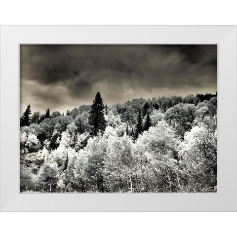 USA-Utah-Aspen Grove in infrared of the Logan Pass area White Modern Wood Framed Art Print by Eggers, Terry