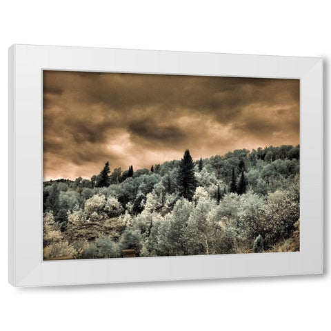 USA-Utah-Aspen Grove in infrared of the Logan Pass area White Modern Wood Framed Art Print by Eggers, Terry