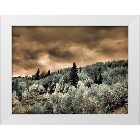 USA-Utah-Aspen Grove in infrared of the Logan Pass area White Modern Wood Framed Art Print by Eggers, Terry