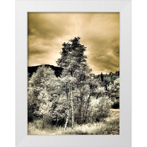 USA-Utah-Aspen Grove in infrared of the Logan Pass area White Modern Wood Framed Art Print by Eggers, Terry