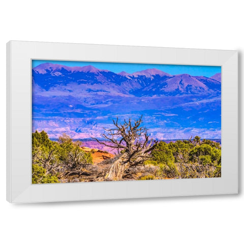 Old wood branch- Abajo Mountains- Canyonlands National Park- Moab- Utah. White Modern Wood Framed Art Print by Perry, William