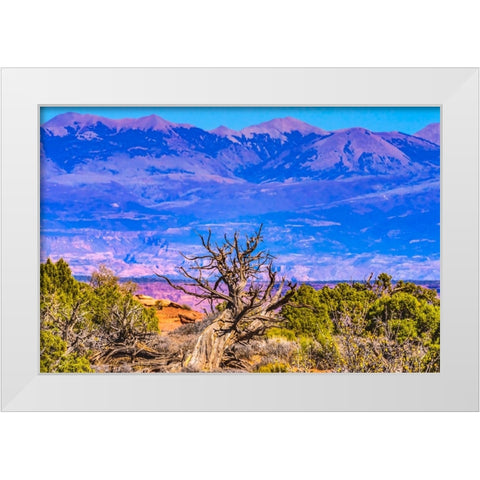 Old wood branch- Abajo Mountains- Canyonlands National Park- Moab- Utah. White Modern Wood Framed Art Print by Perry, William
