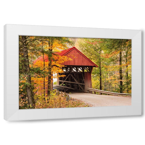 USA-Vermont-Stowe-Sterling Valley Road covered bridge in fall foliage White Modern Wood Framed Art Print by Jones, Allison