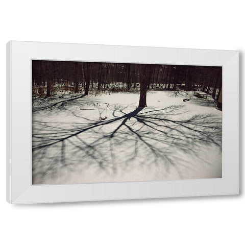 USA-Vermont-Morrisville-moon shadow of ash tree on snow-covered lawn White Modern Wood Framed Art Print by Jones, Allison