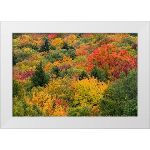 USA-Vermont-New England-Stowe Mt Mansfield parking lot view White Modern Wood Framed Art Print by Jones, Allison