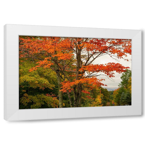 USA-Vermont-New England-Stowe Mt Mansfield parking lot view White Modern Wood Framed Art Print by Jones, Allison