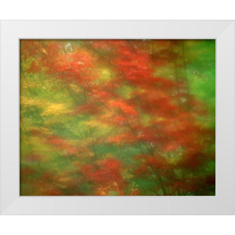 Vermont Abstract of maple trees White Modern Wood Framed Art Print by Zuckerman, Jim