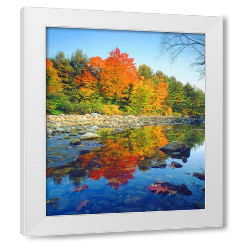 Vermont, Autumn reflecting in a stream White Modern Wood Framed Art Print by Talbot Frank, Christopher