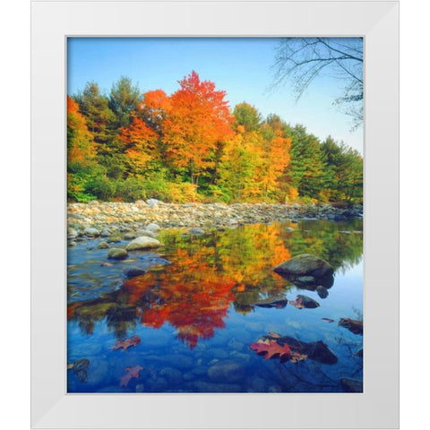 Vermont, Autumn reflecting in a stream White Modern Wood Framed Art Print by Talbot Frank, Christopher