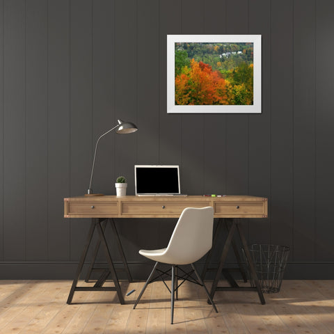 Vermont, St Johnsbury Hillside Trees and homes White Modern Wood Framed Art Print by Terrill, Steve