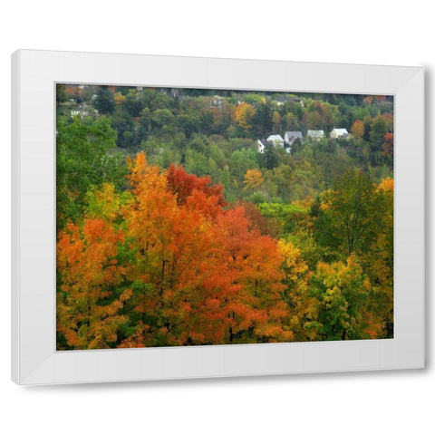 Vermont, St Johnsbury Hillside Trees and homes White Modern Wood Framed Art Print by Terrill, Steve