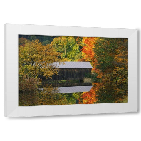 Vermont Covered bridge and autumn reflections White Modern Wood Framed Art Print by Rotenberg, Nancy