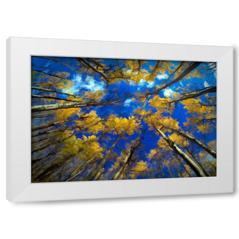 Vermont Abstract of looking up at trees with autumn foliage White Modern Wood Framed Art Print by Jaynes Gallery