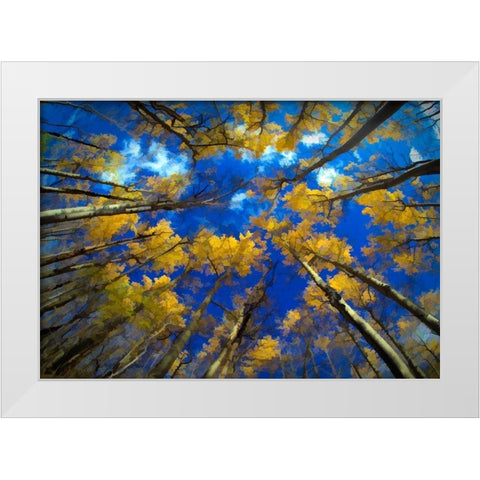 Vermont Abstract of looking up at trees with autumn foliage White Modern Wood Framed Art Print by Jaynes Gallery