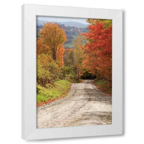USA-New England-Vermont tree-lined roadway in Autumns Fall colors White Modern Wood Framed Art Print by Gulin, Sylvia