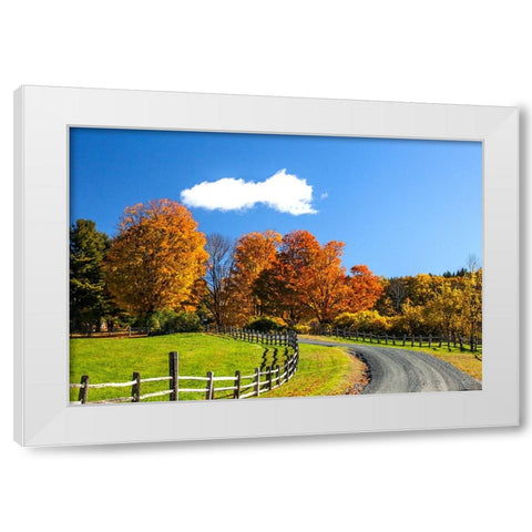 USA-New England-Vermont countryside with curved gravel road fence in Autumn White Modern Wood Framed Art Print by Gulin, Sylvia