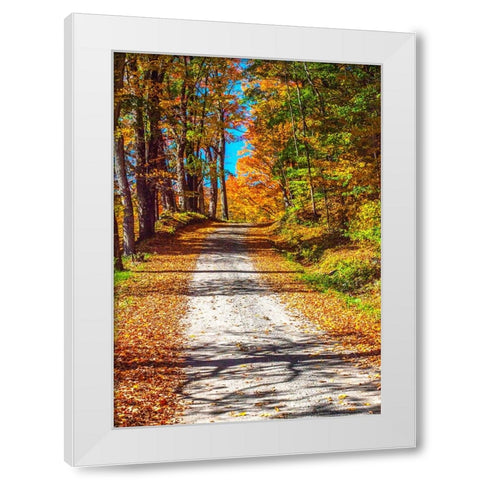 USA-New England-Vermont gravel road lined with sugar maple in full Fall color White Modern Wood Framed Art Print by Gulin, Sylvia