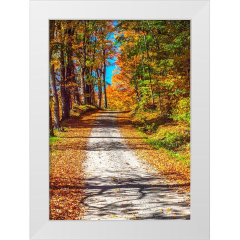 USA-New England-Vermont gravel road lined with sugar maple in full Fall color White Modern Wood Framed Art Print by Gulin, Sylvia