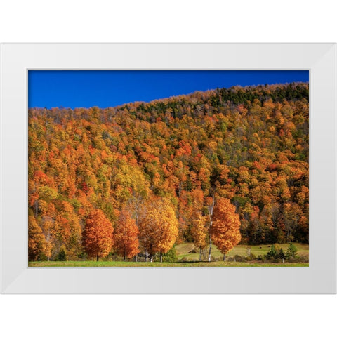 USA-New England-Vermont White Modern Wood Framed Art Print by Gulin, Sylvia