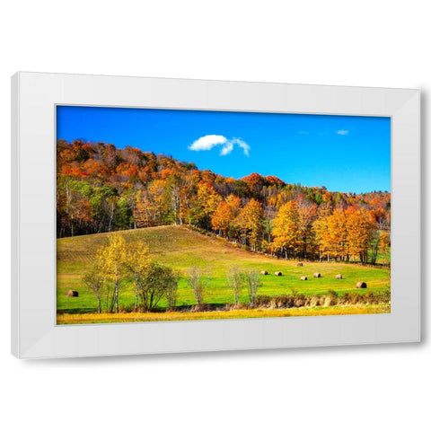 USA-New England-Vermont White Modern Wood Framed Art Print by Gulin, Sylvia