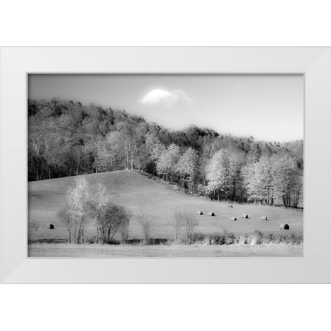 USA-New England-Vermont White Modern Wood Framed Art Print by Gulin, Sylvia
