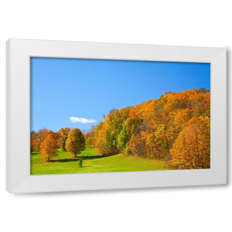 USA-New England-Vermont White Modern Wood Framed Art Print by Gulin, Sylvia