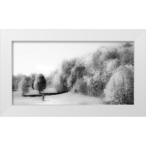 USA-New England-Vermont White Modern Wood Framed Art Print by Gulin, Sylvia