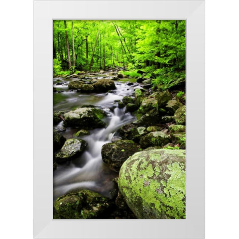 Virginia, Shenandoah NP Creek in the forest White Modern Wood Framed Art Print by OBrien, Jay