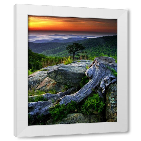 VA, Shenandoah NP Overlook from Skyline Drive White Modern Wood Framed Art Print by OBrien, Jay