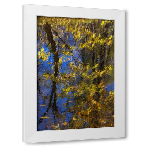 Virginia, McLean Scenic in Great Falls SP White Modern Wood Framed Art Print by OBrien, Jay