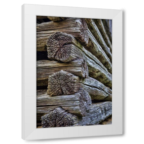 VA, Roanoke, Explore Park Detail of log cabin White Modern Wood Framed Art Print by Paulson, Don