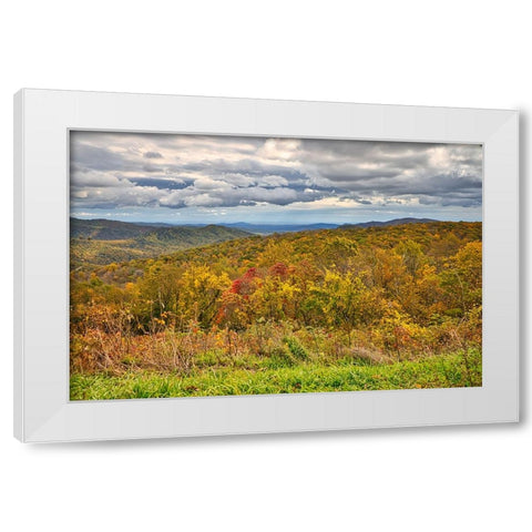 USA-Virginia-Shenandoah National Park-fall color White Modern Wood Framed Art Print by Looney, Hollice