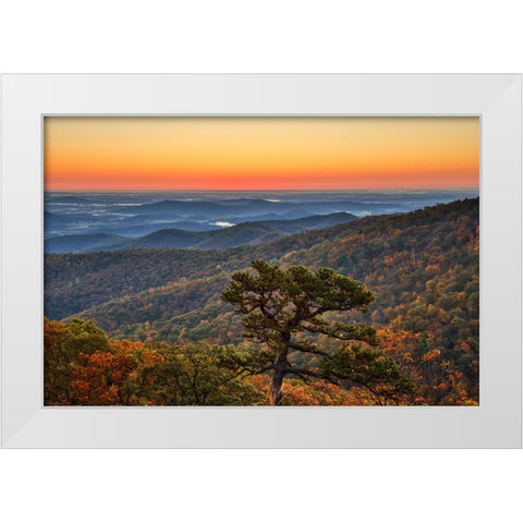 USA-Virginia-Shenandoah National Park-Sunrise along Skyline Drive in the Fall White Modern Wood Framed Art Print by Looney, Hollice