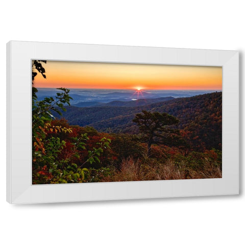 USA-Virginia-Shenandoah National Park-Sunrise along Skyline Drive in the Fall White Modern Wood Framed Art Print by Looney, Hollice