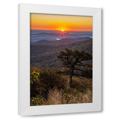 USA-Virginia-Shenandoah National Park-Sunrise along Skyline Drive in the Fall White Modern Wood Framed Art Print by Looney, Hollice