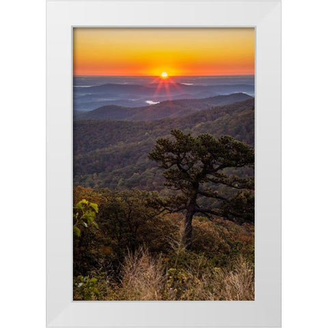 USA-Virginia-Shenandoah National Park-Sunrise along Skyline Drive in the Fall White Modern Wood Framed Art Print by Looney, Hollice