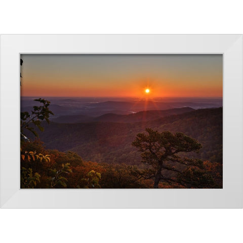 USA-Virginia-Shenandoah National Park-Sunrise along Skyline Drive in the Fall White Modern Wood Framed Art Print by Looney, Hollice