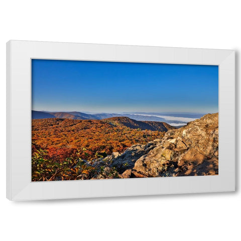 USA-Virginia-Shenandoah National Park-fall color in the park White Modern Wood Framed Art Print by Looney, Hollice