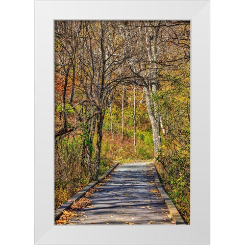 USA-Virginia-Shenandoah National Park-fall color in the park White Modern Wood Framed Art Print by Looney, Hollice