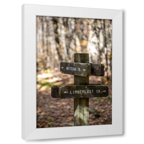 USA-Virginia-Shenandoah National Park-Wooden trail marker for the White Oak Trail and Limberlost Tr White Modern Wood Framed Art Print by Looney, Hollice