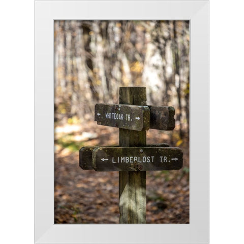 USA-Virginia-Shenandoah National Park-Wooden trail marker for the White Oak Trail and Limberlost Tr White Modern Wood Framed Art Print by Looney, Hollice