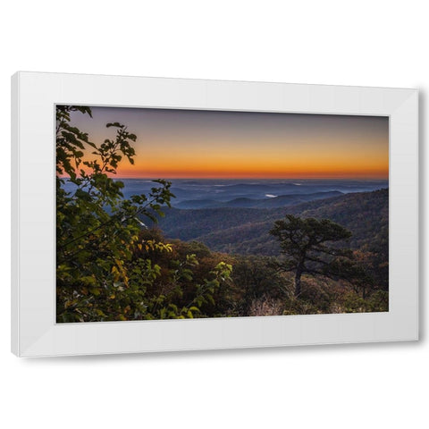 USA-Virginia-Shenandoah National Park-Sunrise along Skyline Drive in the Fall White Modern Wood Framed Art Print by Looney, Hollice