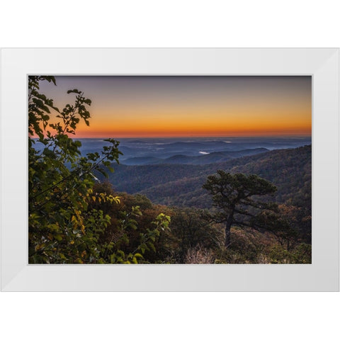 USA-Virginia-Shenandoah National Park-Sunrise along Skyline Drive in the Fall White Modern Wood Framed Art Print by Looney, Hollice