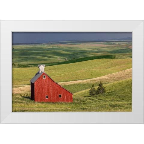 Red barn in valley of rolling farm fields-Palouse agricultural region of western Idaho White Modern Wood Framed Art Print by Jones, Adam