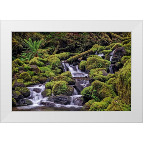 Small stream cascading through moss covered rocks-Hoh Rainforest-Olympic National Park White Modern Wood Framed Art Print by Jones, Adam
