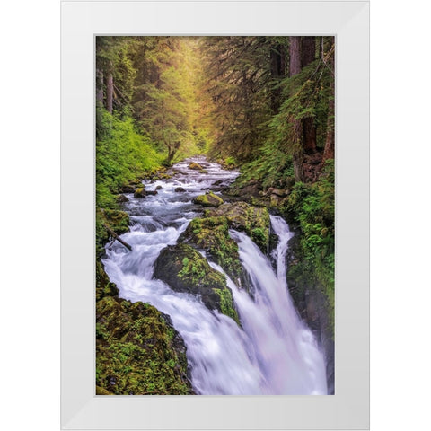Sol Duc River and Falls-Olympic National Park-Washington State White Modern Wood Framed Art Print by Jones, Adam